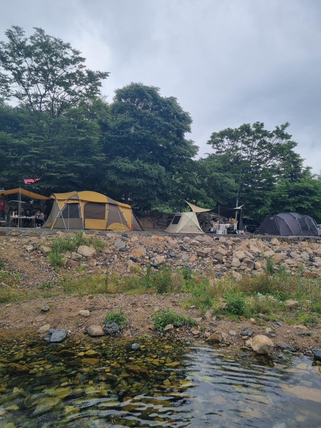 캠핑월드 앞 계곡