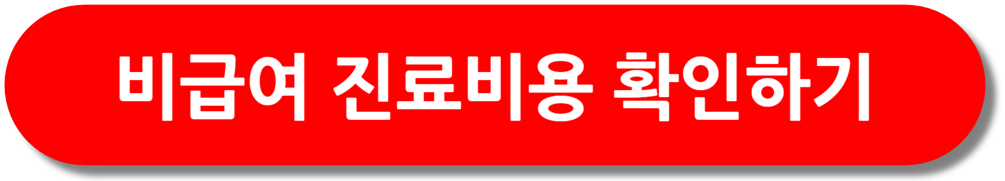 비급여-진료비용-확인