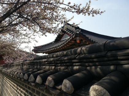 고대 무기류 분석과 철제 무기 기술의 발달사