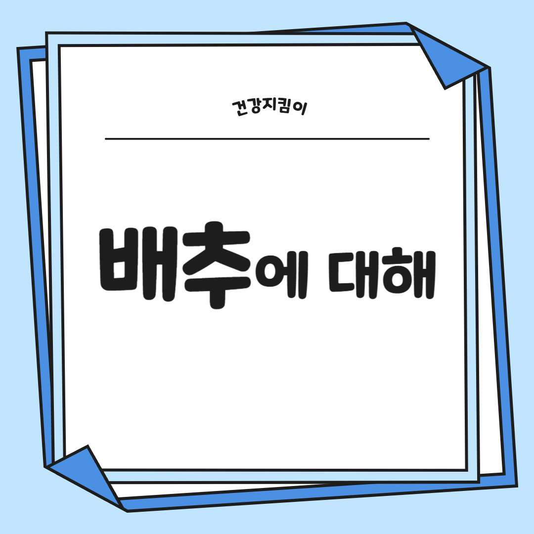 배추 효능 부작용 칼로리