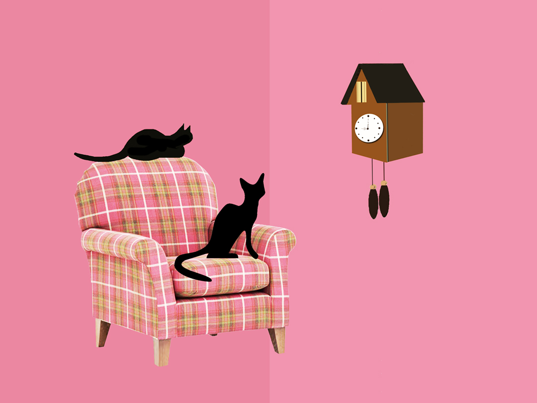 쇼파에서 벽시계를 보는 고양이들 무료이미지 다운로드