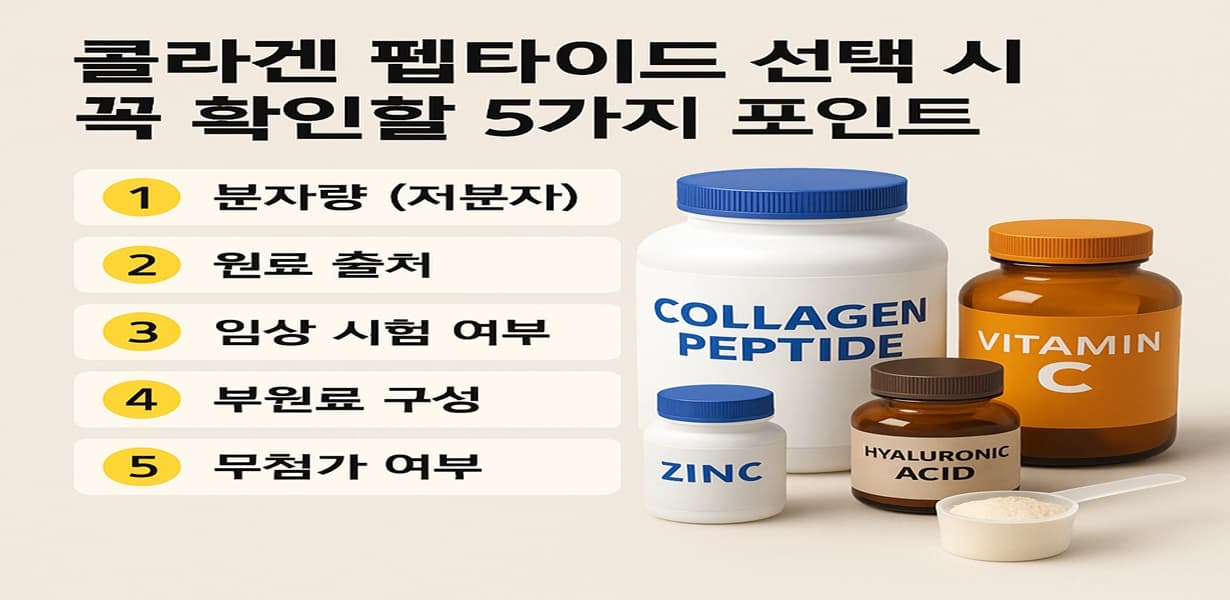 콜라겐 펩타이드 선택 시 확인할 5가지 체크포인트를 정리한 표와 함께 콜라겐, 비타민C, 히알루론산, 아연 보충제가 진열된 이미지