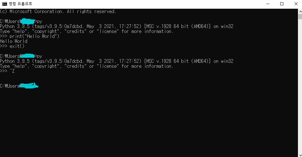 command-prompt-py-ctrl+z-image