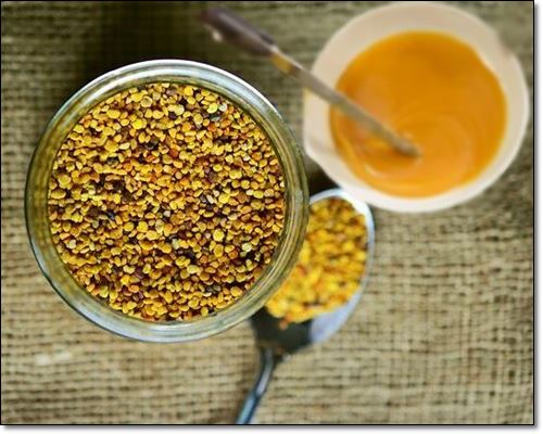 천연 영양제 비폴렌