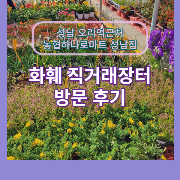 성남 화훼시장 메인사진