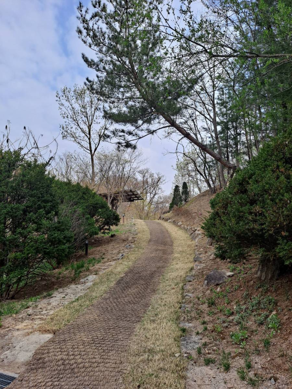 순례길 오르막길