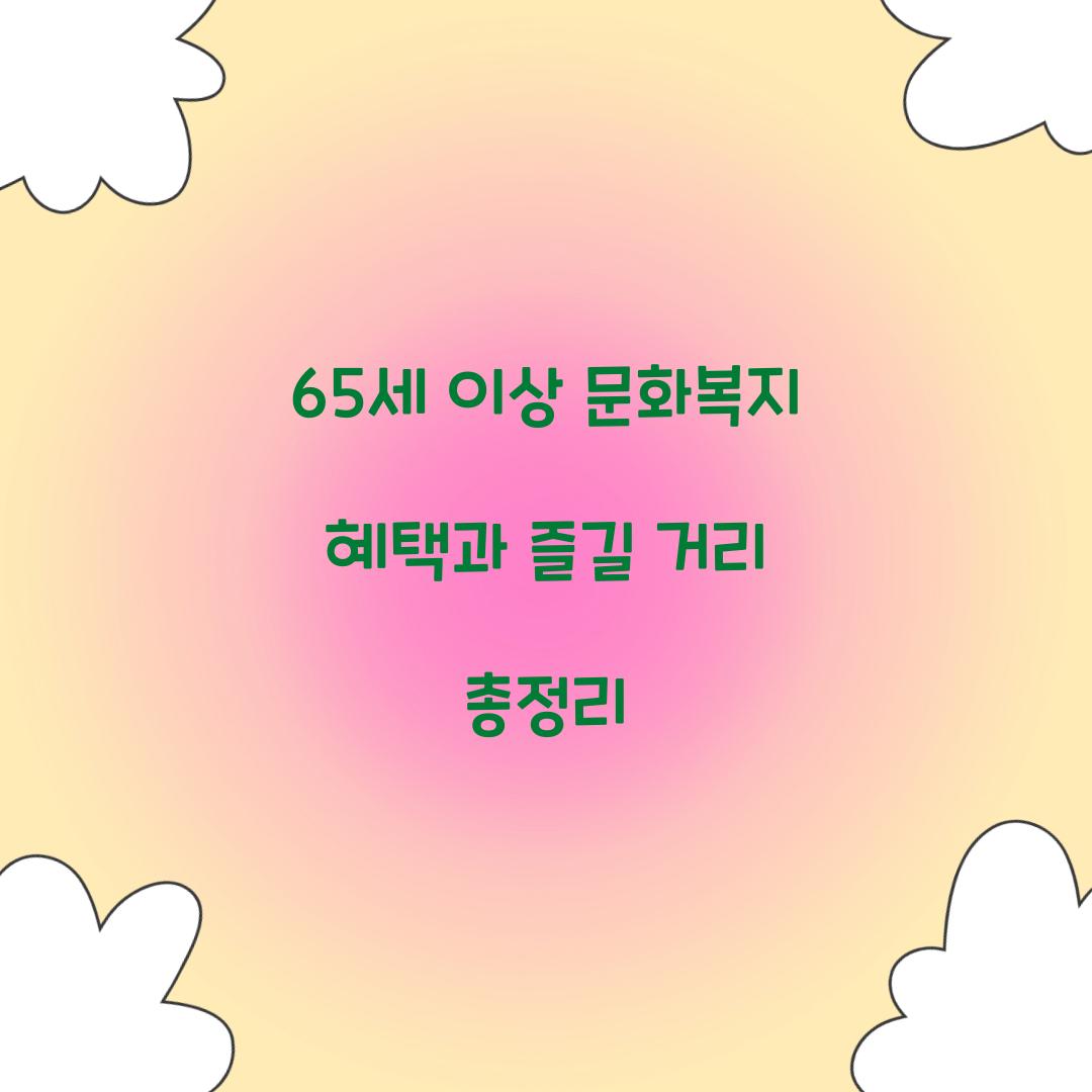 65세 이상 문화복지