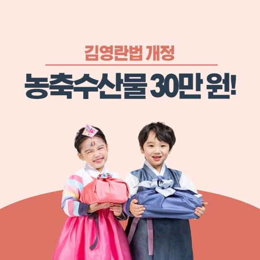 김영란법개정