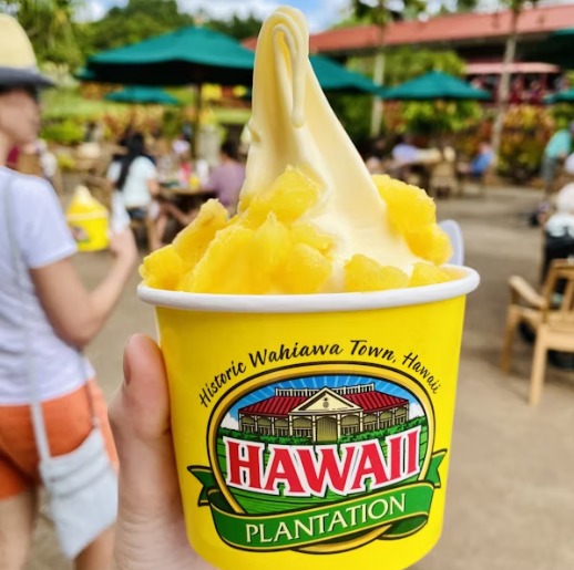 하와이 4박5일 여행 추천 – 와이키키 중심 일정