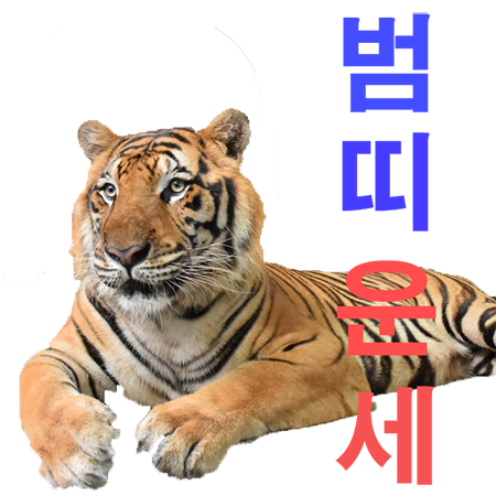 2023년 범띠 운세
