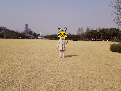 국립서울현충원 산책｜봄꽃&middot;은행나무길&middot;무료 주차&middot;이용정보