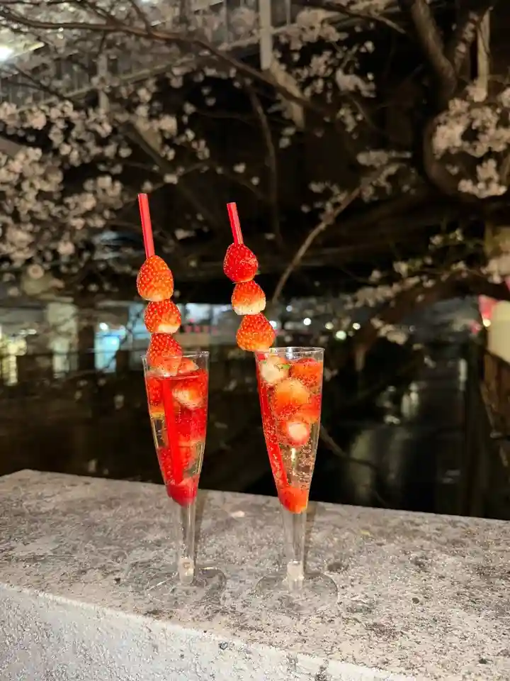 벚꽃축제 명물 스파클링 샴페인