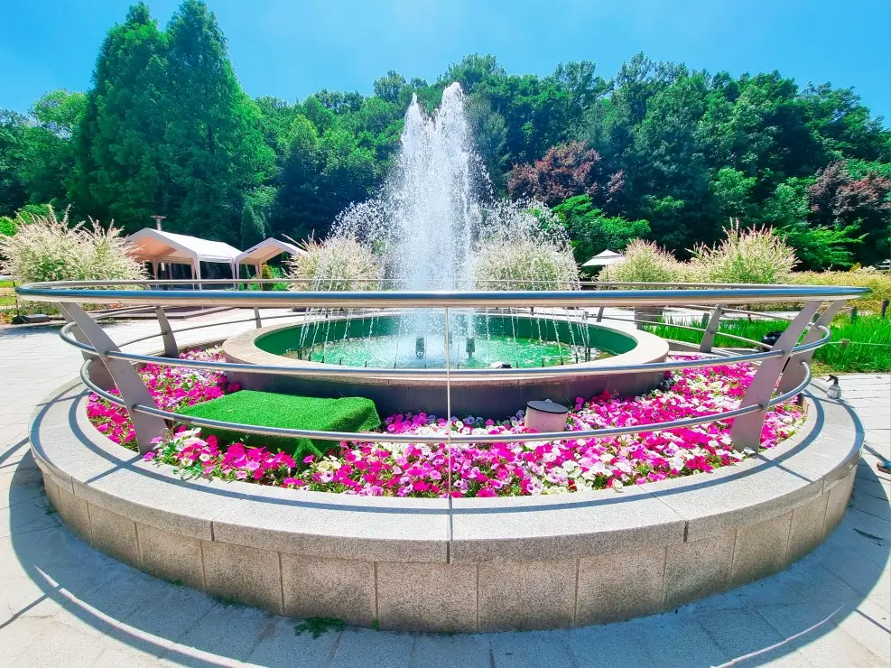 부천자연생태공원 2. 무릉도원 수목원: 데이지는 아쉽지만 아이들과 꼭 가봐야할 곳