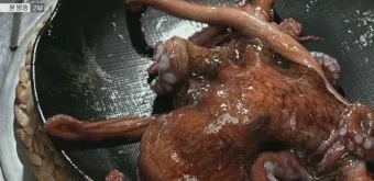 전현무계획2 문어숙회 수제비 골뱅이 맛집 위치 안내_18