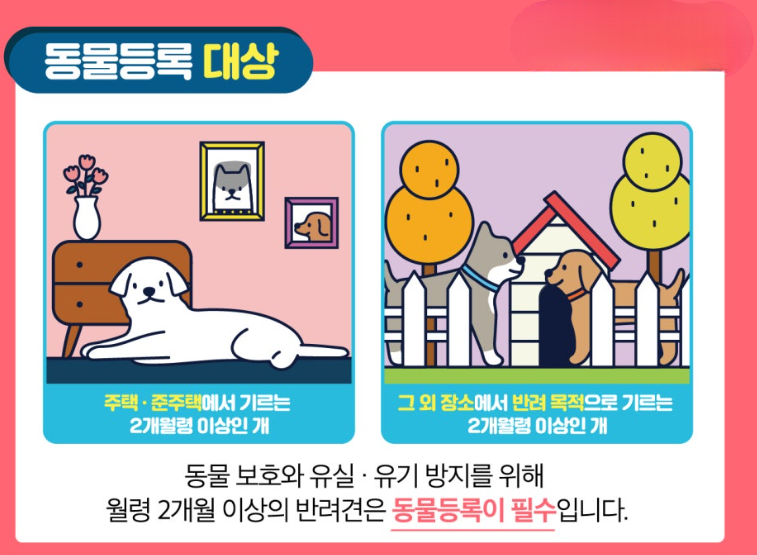 동물등록 대상
