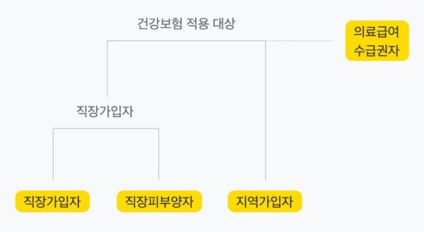 건강보험 기본 정리표 이미지 &lt; 출처 : 카카오페이 &gt;