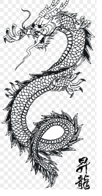 2025년 띠별 운세 총정리