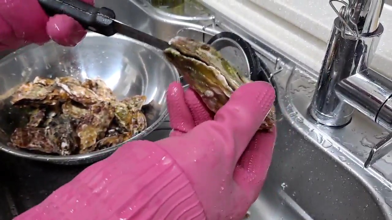 칼로-굴껍질-열기