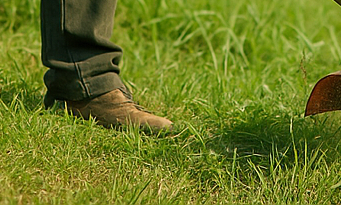 농협 벌초대행 비용