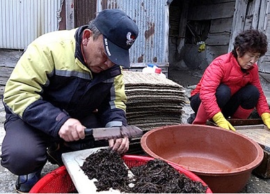 울릉도-돌김-한국기행-부부