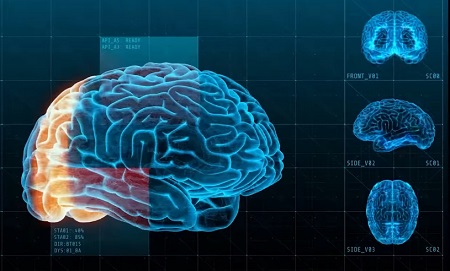 안면 피드백 실험과 행복 호르몬