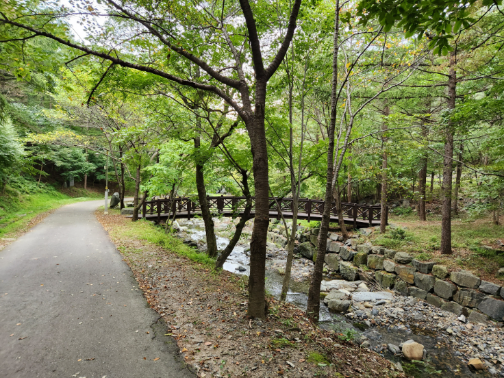 짙은 녹음이 우거진 성주산자연휴양림 내 산책로와 시원하게 흐르는 계곡물