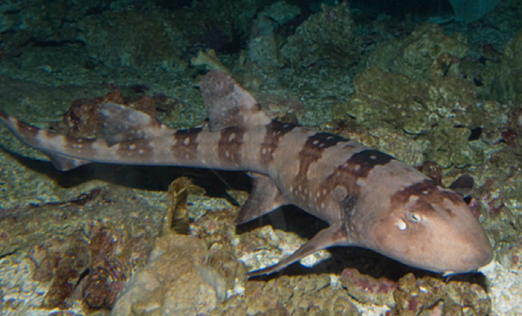 울진 아쿠아리움