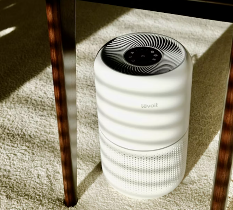 환경 관리와 치료 가이드