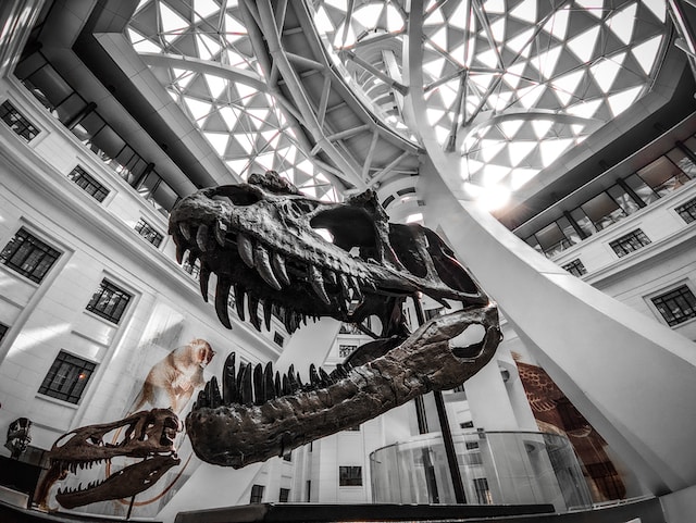 Smithsonian National Museum of Natural History