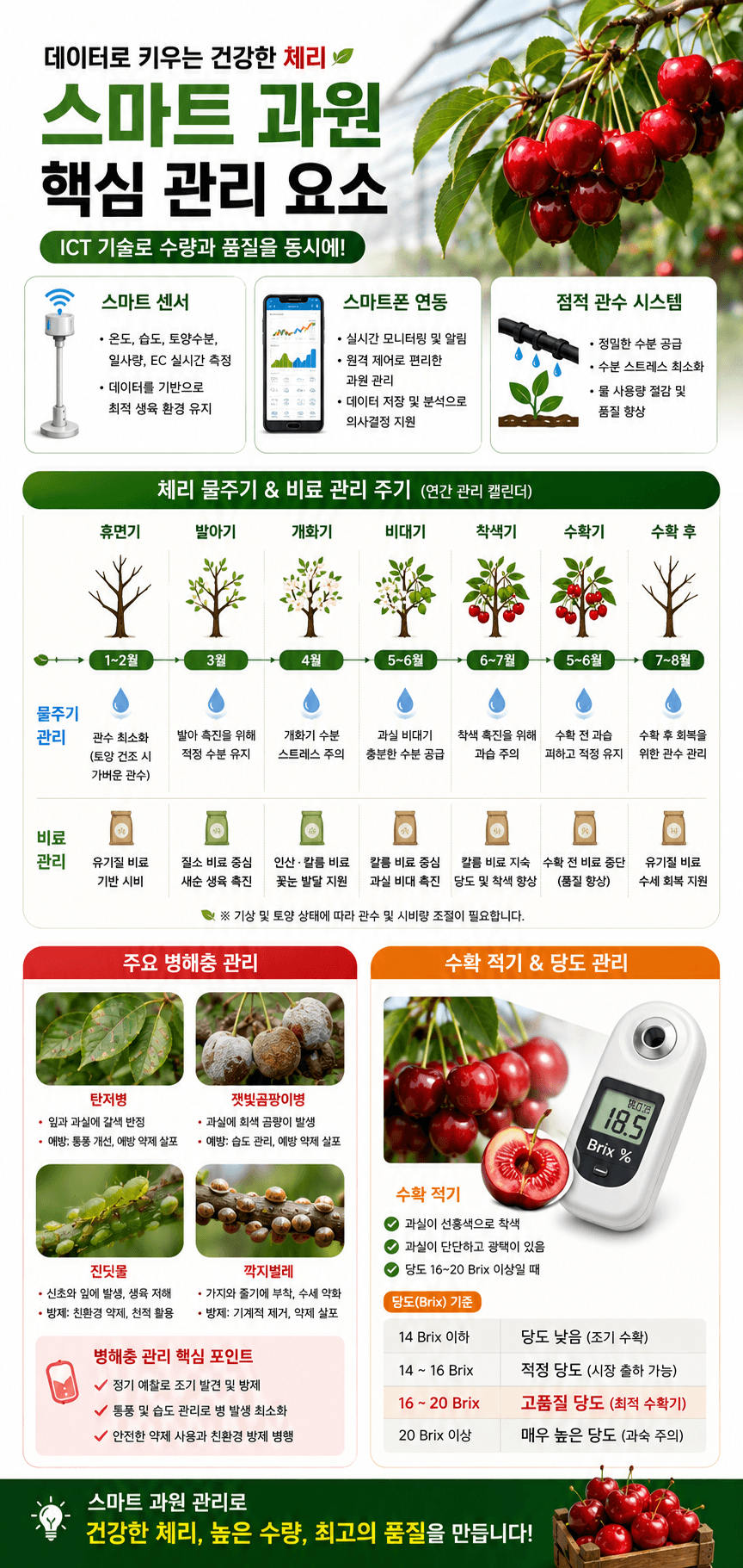 체리 핵심 관리 요소 인포그래픽