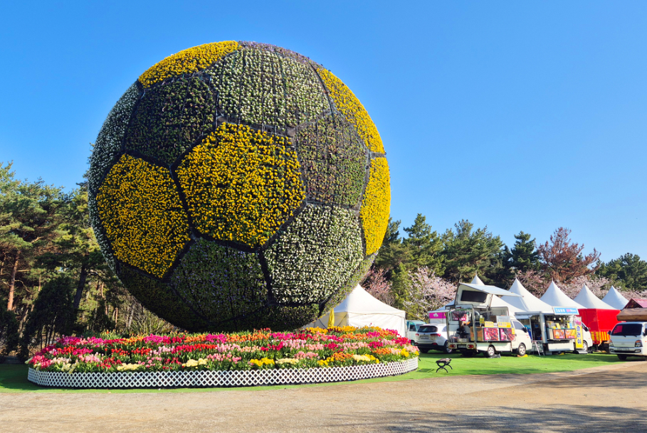 태안 튤립축제
