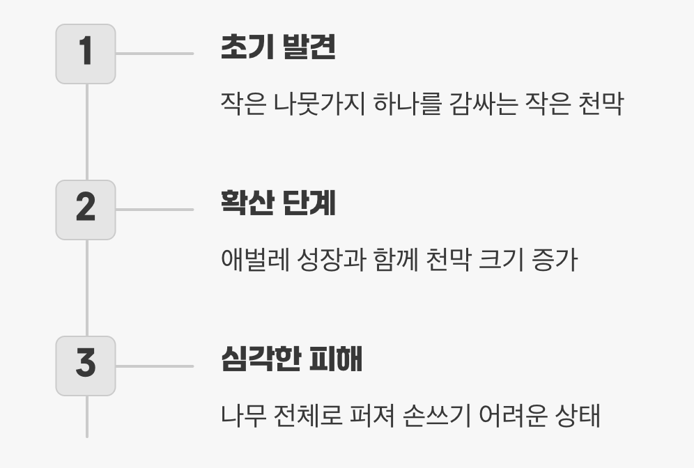 거미줄 같은 천막, 결정적 초기 신호