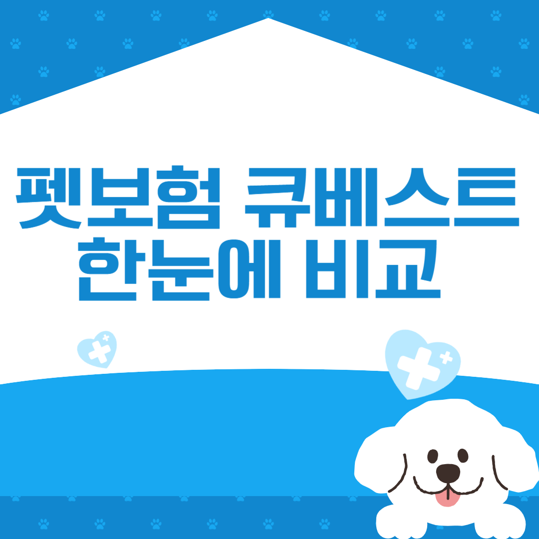 펫보험 큐베스트