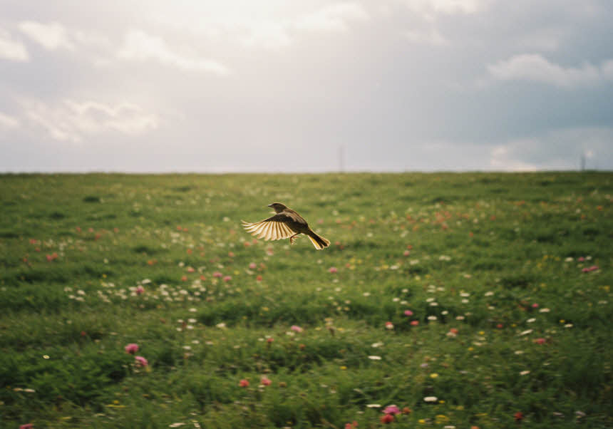 심리학으로 본 자아의 중요성