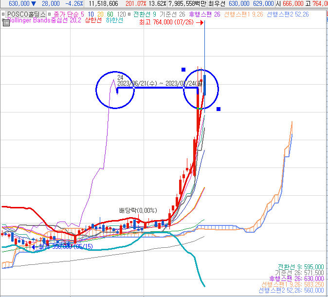 포스코홀딩스 주식 차트