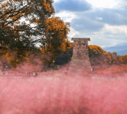 켄싱턴 가을 패키지 지금 확인하세요
