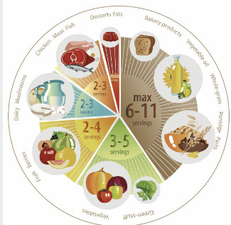 연령별 영양비율