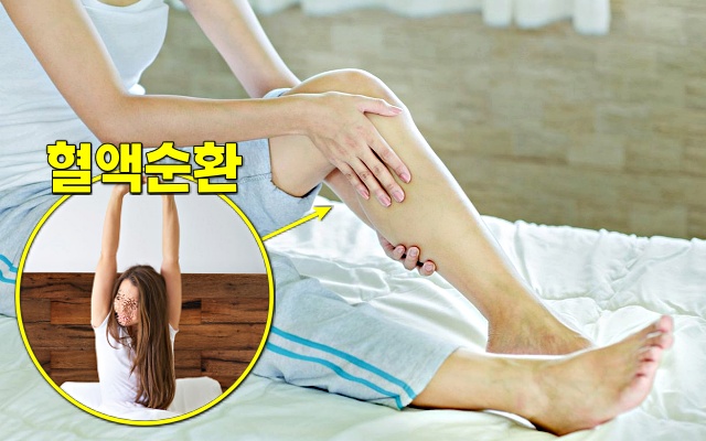 기지개 효과, 혈액순환에 좋은 스트레칭, 기지개 켜기 운동 효과, 건강 팁줌 매일꿀정보