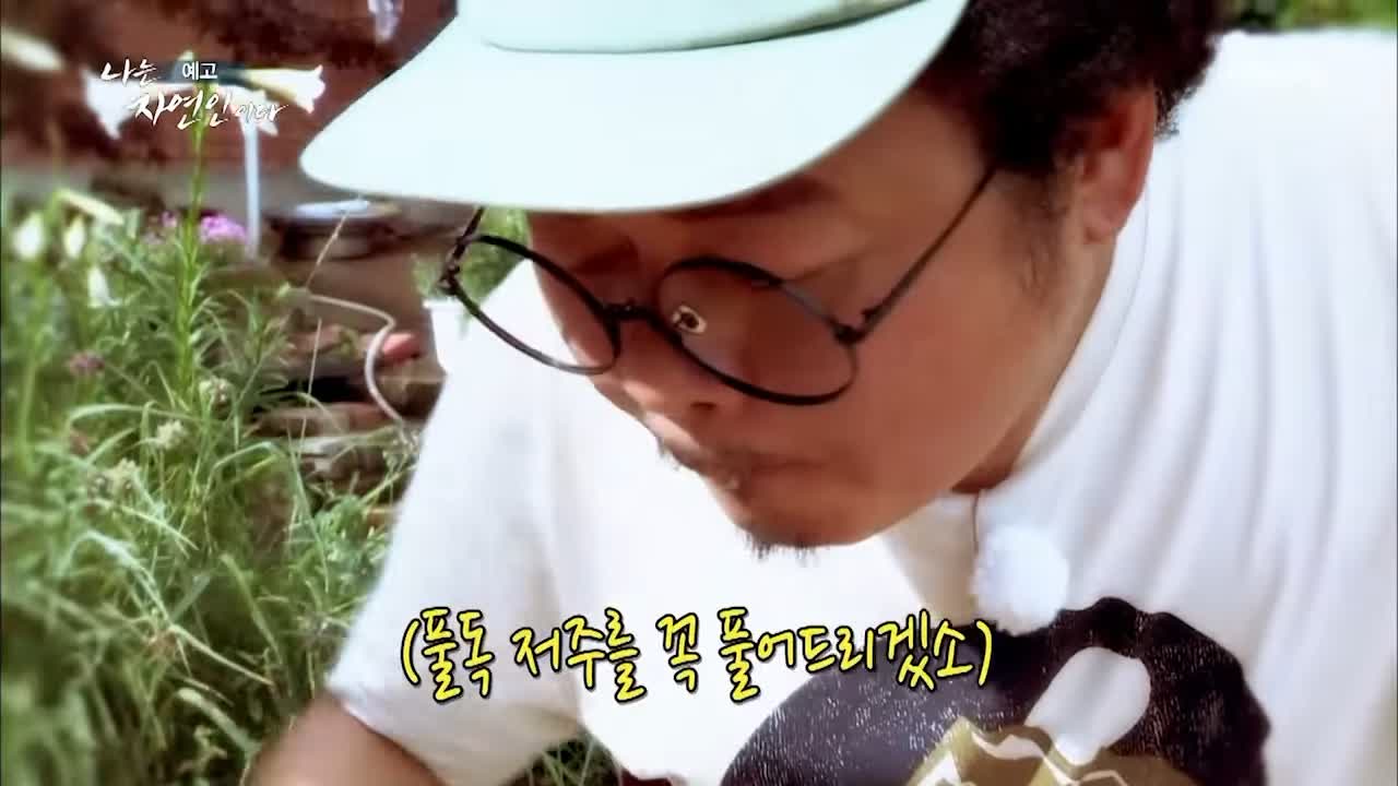이승윤 윤택 나는 자연인이다 511회 나의 첫 독립일기 자연인 이영숙 소개 및 출연 다시보기