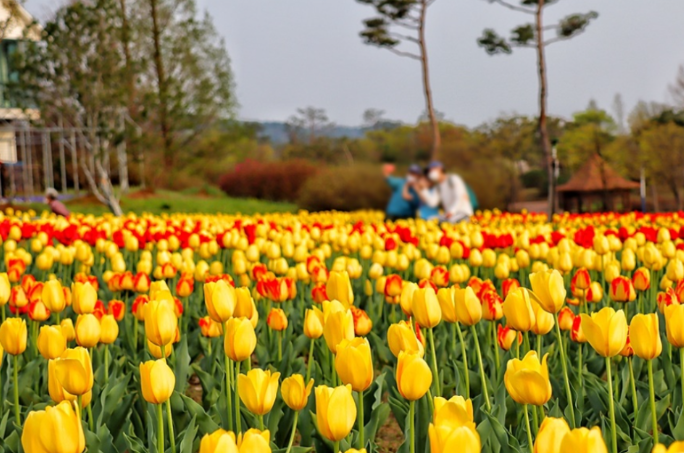 금은모래강변공원