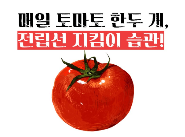 전립선암에 좋은 음식