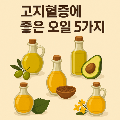 고지혈증에 좋은 오일 5가지 추천, 콜레스테롤 낮추는 오일, 뭐가 좋을까?