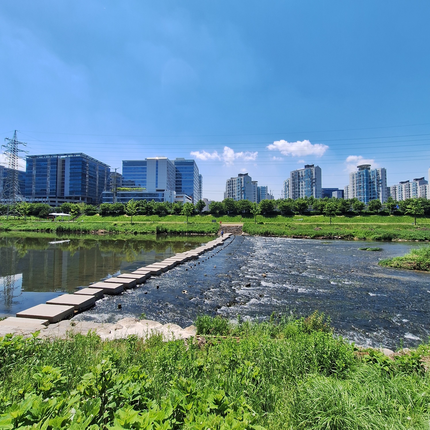 서울 둘레길 13코스 참여 후기