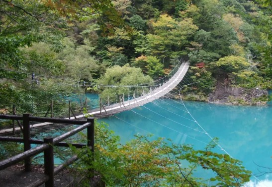[일본 여행지 추천] 시즈오카 날씨, 위치, 맛집, 쇼핑, 가볼만한곳(후지산, 온천), 료칸