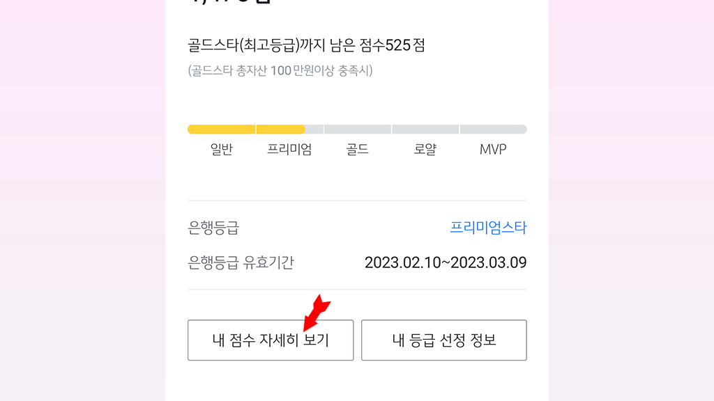 내 점수 자세히 보기