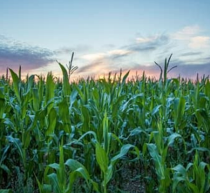 손해평가사 시험 일정 및 과목 2025