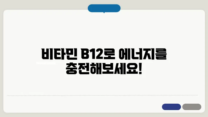 비타민b12가 많은 음식
