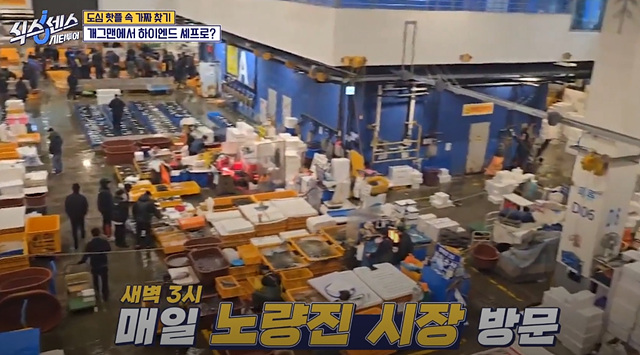 식스센스 시티투어 강남 이동자 오마카세 철권게이머 무당