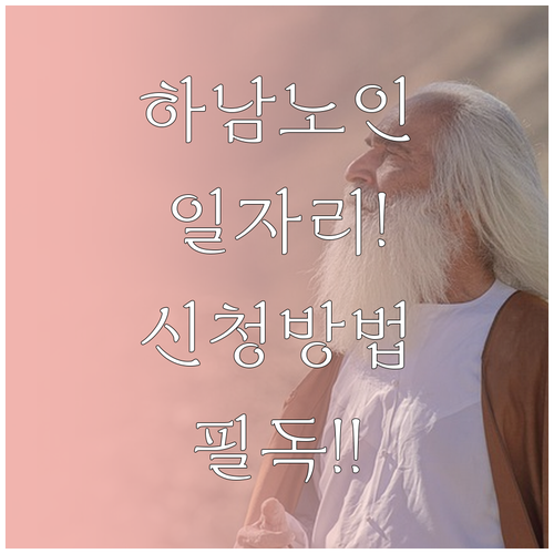 하남시 시니어클럽 노인일자리 종류와 ..