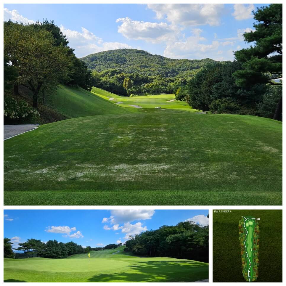 골프장 경험담 남여주cc 대중제 골프장의 최고 골프장